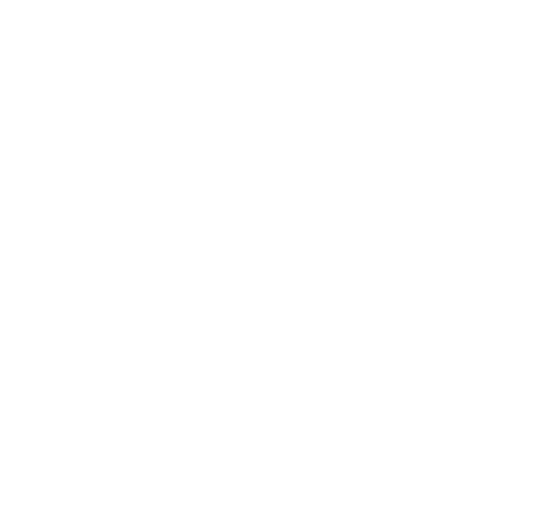 Cerdo fondo blanco