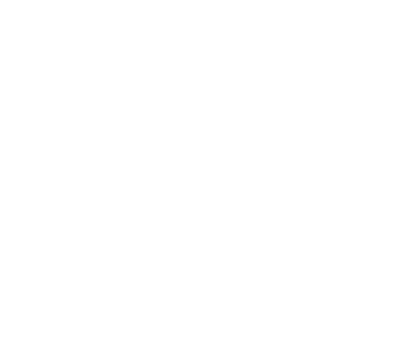 Pollo fondo blanco